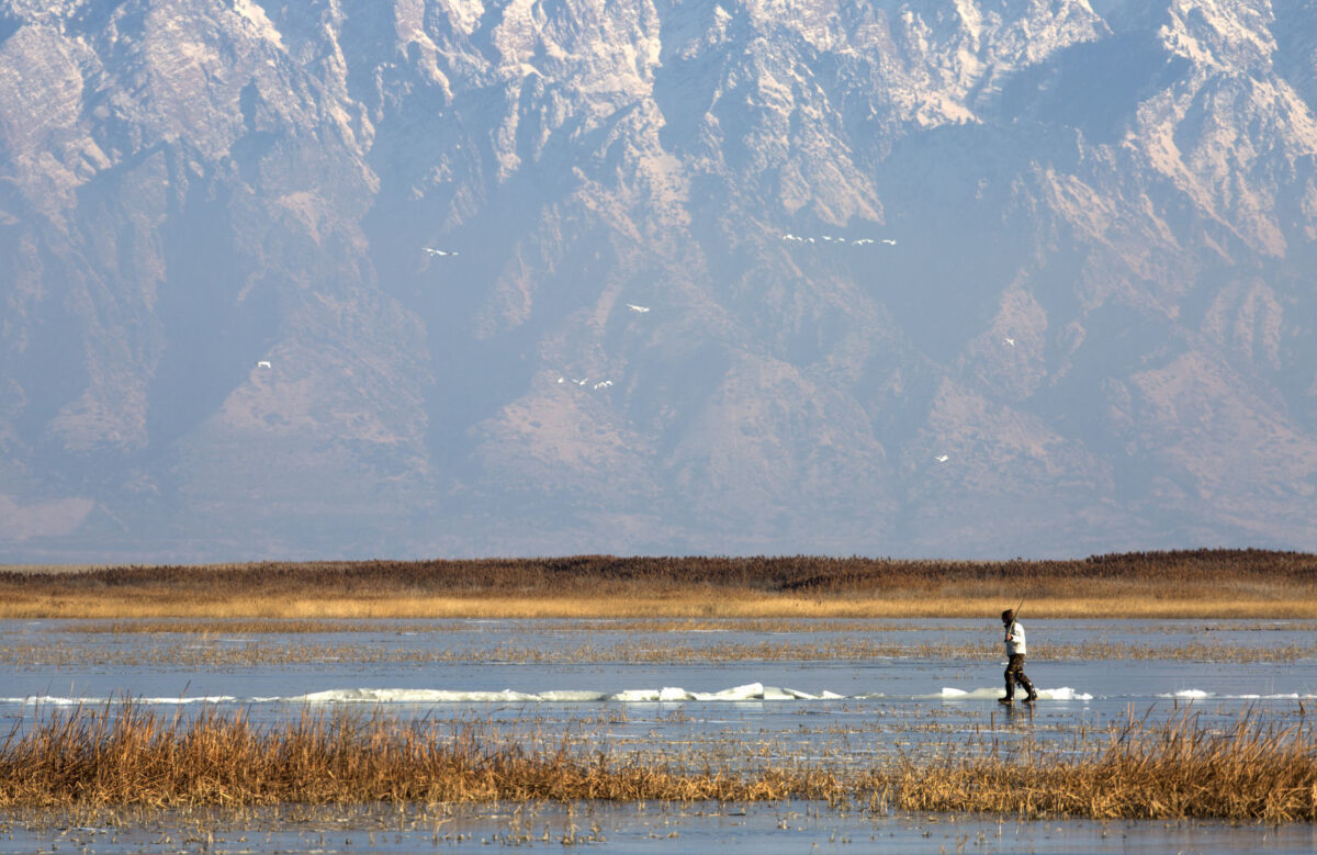 Bleak questions Dam the Bear River or save the shrinking Great Salt